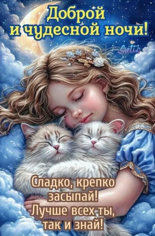 Спокойной ночи с котами и ангелом