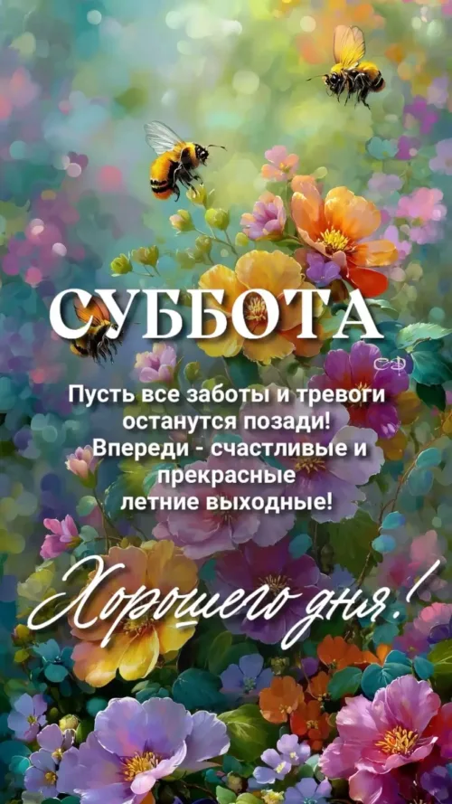 Суббота: летние выходные с цветами и пчелами