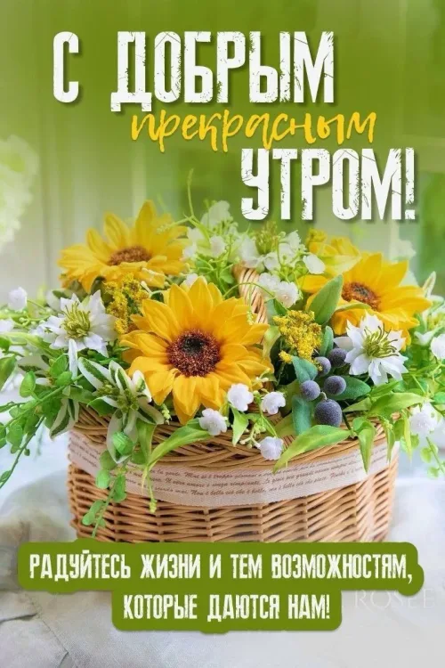 Позитивные открытки с добрым утром и солнечными цветами