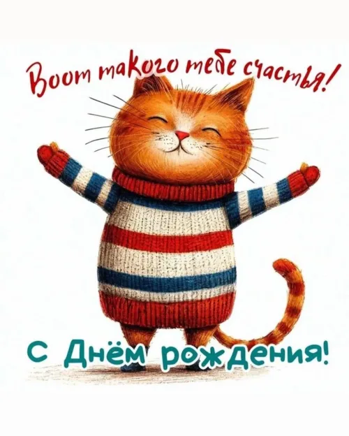 Поздравление с днем рождения с котом в свитере