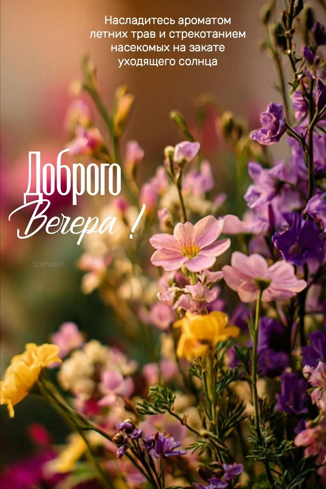 Цветущие летние травы Доброго вечера