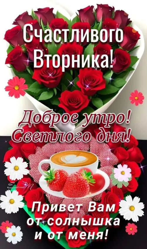 Счастливого Вторника! Доброе утро с розами и клубникой