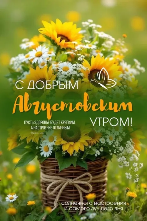 С Добрый Августовским утром: солнечные пожелания и цветы