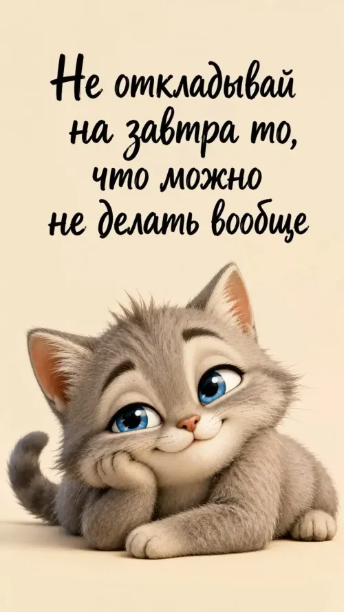Позитивный кот с добрым утром