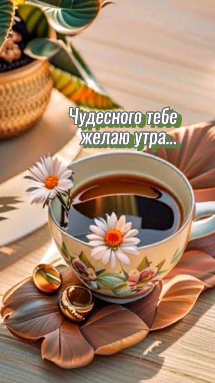 Позитивная открытка с добрым утром и цветами