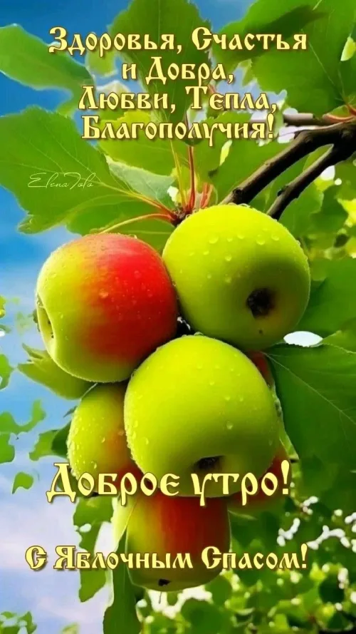 Яблочный Спас: Доброе утро с яблоками
