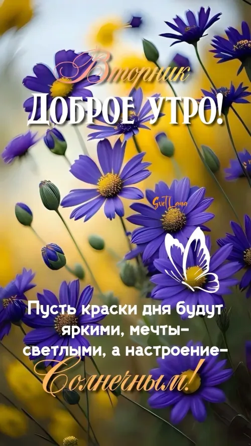 Позитивная открытка с добрым утром на вторник