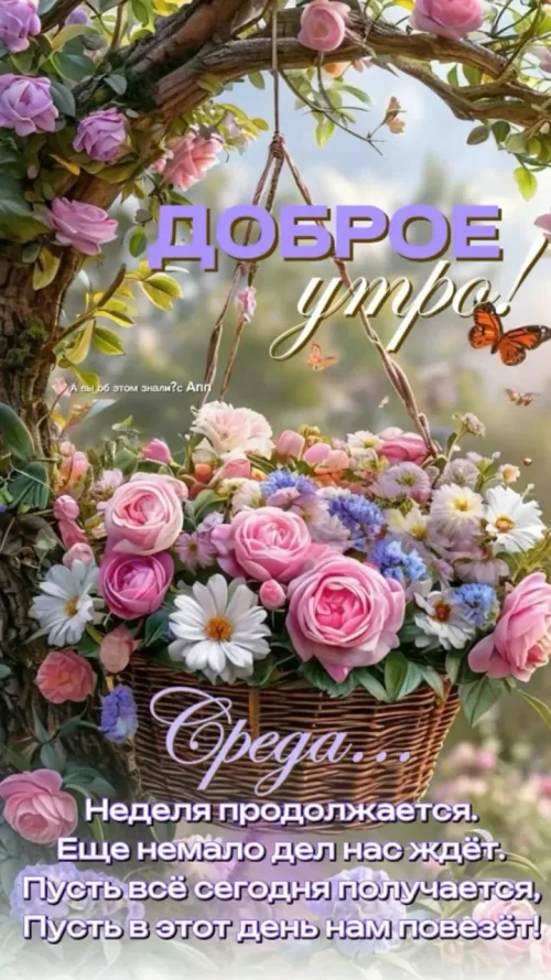 Доброе утро! Среда: Красивые открытки с цветами и бабочкой