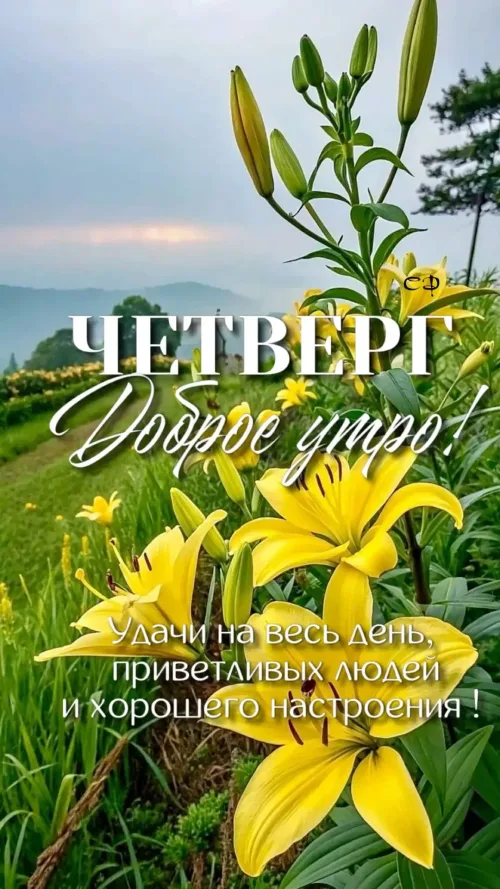 Доброе утро, четверг: Удачи и улыбок