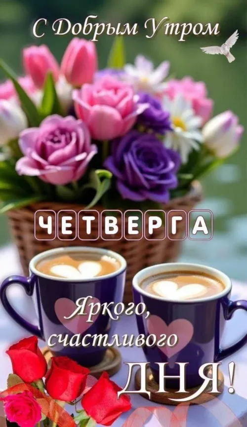 Яркое утро с добрым утром на четверг