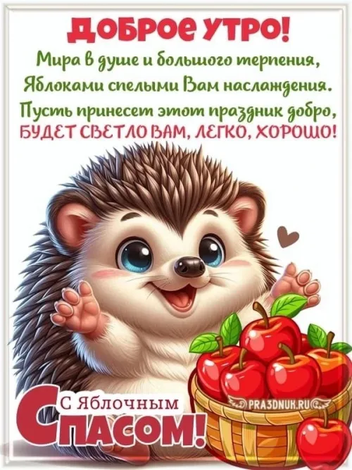 Яблочный Спас: Счастливое утро с милым ежом
