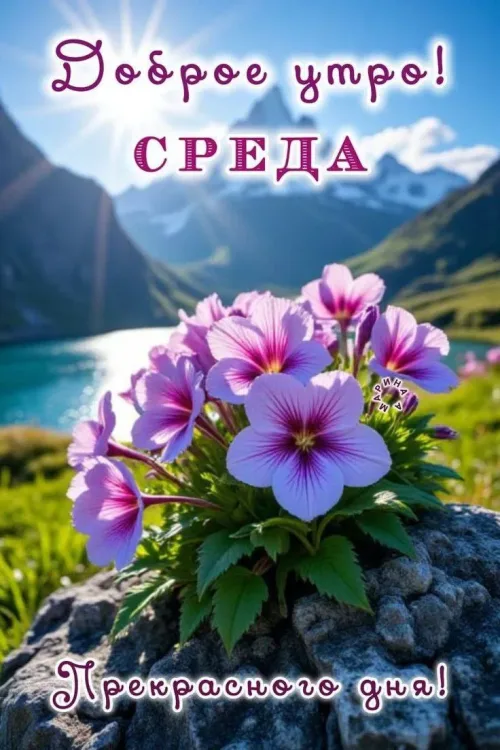Цветы на горном пейзаже с добрым утром среды