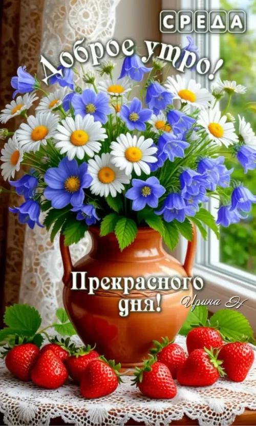 Цветы в горшке с добрым утром на среду