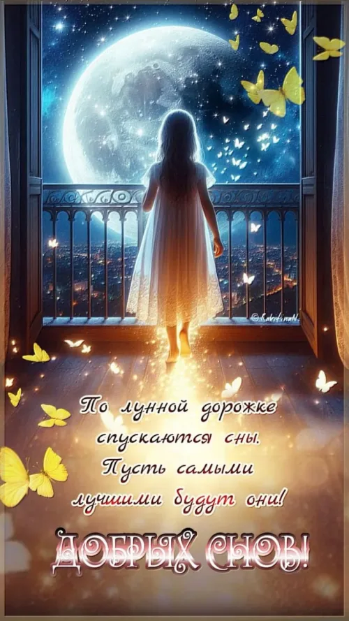 Спокойной ночи с видом на луну и бабочками