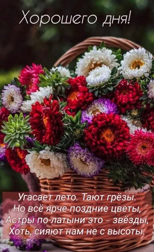 Хорошего дня с яркими цветами и летними пожеланиями