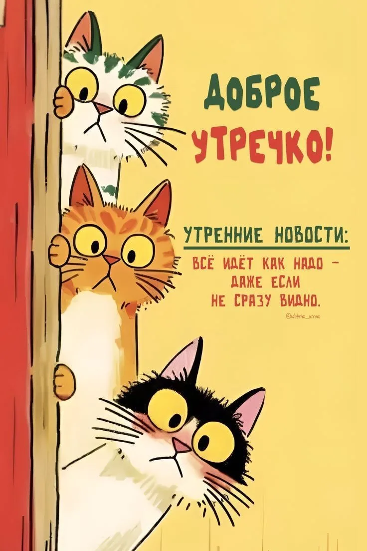 Прикольные открытки с добрым утром: коты