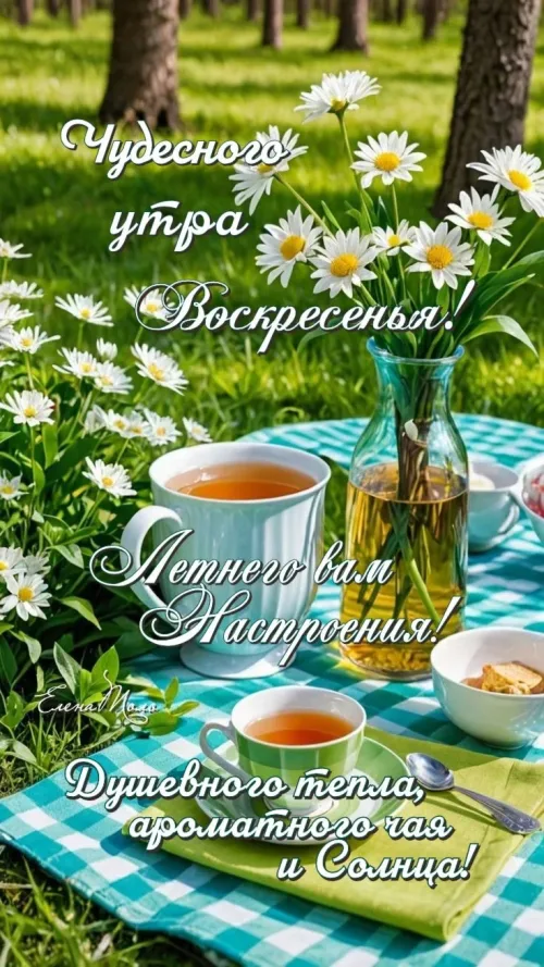 Воскресенье с чаем и цветами