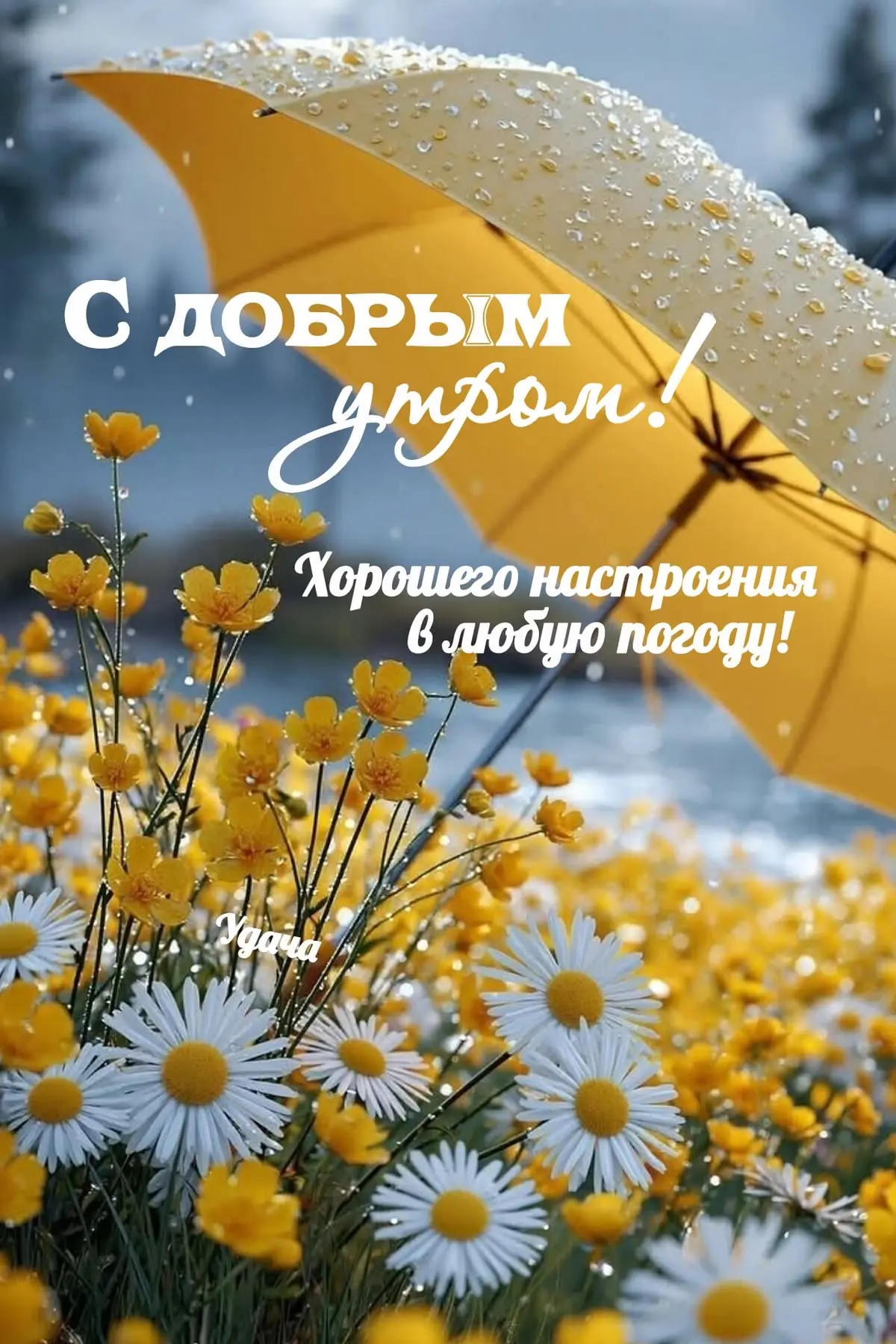 Позитивная открытка с добрым утром и цветами