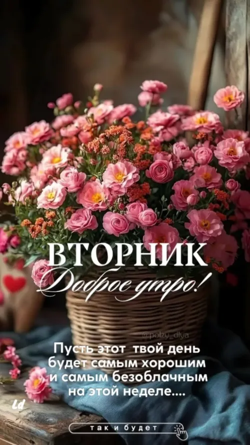 Вторник Доброе утро с цветами