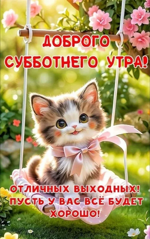 Котенок на качелях с добрым утром