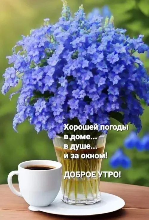 Позитивная открытка с добрым утром и цветами