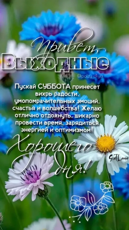 Суббота с цветами: позитивные пожелания