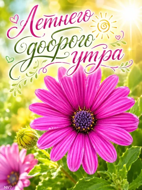 Летнее доброе утро с ярким цветком