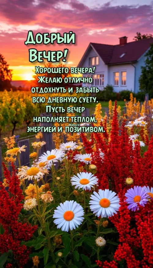 Цветущий вечер: позитивные открытки с добрым вечером
