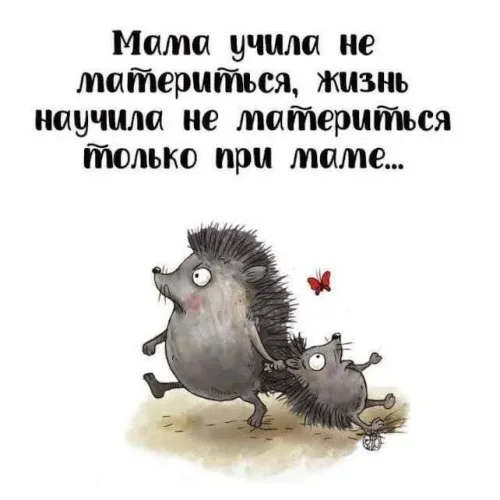 Мама учила не материться открытка с мамой