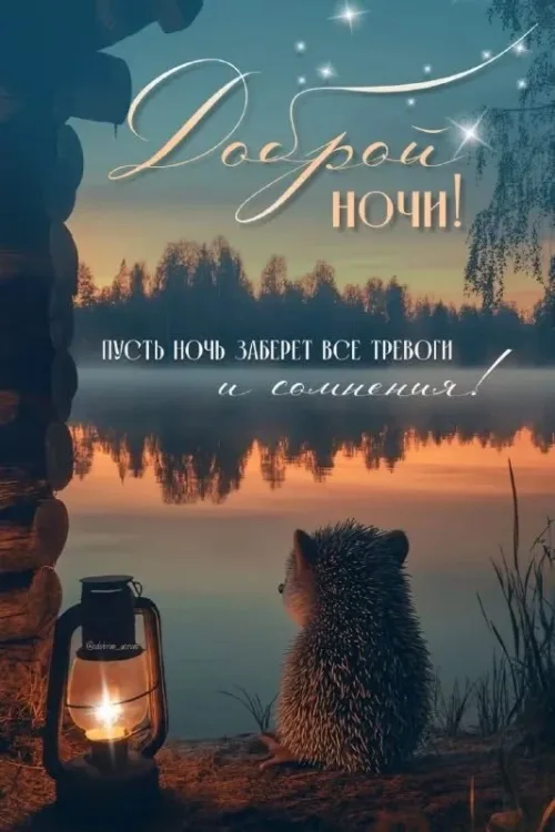 Доброй ночи! Сонный ёжик у озера
