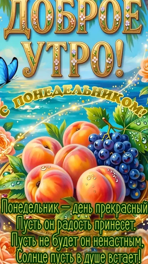 Понедельник: Доброе утро с фруктами и бабочкой