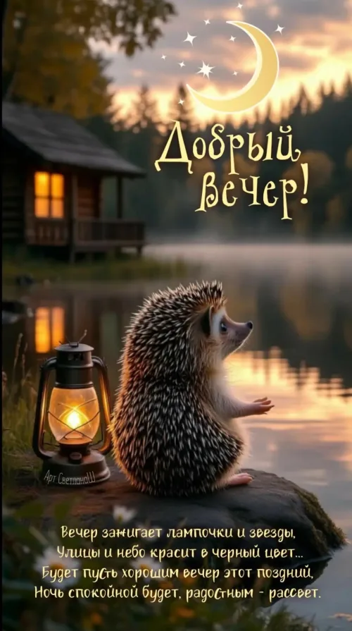 Добрый вечер с ежом и фонарем