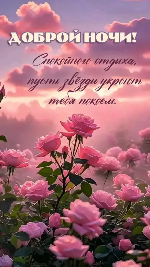 Доброй ночи! Розы и звёзды в небе