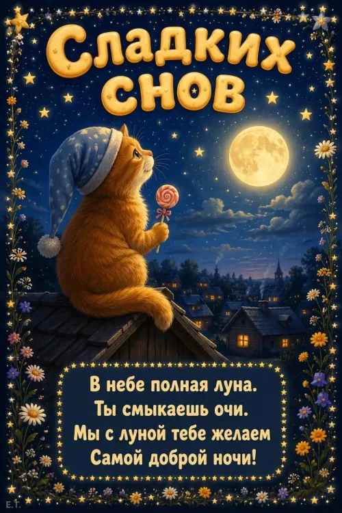 Сладких снов: Кот с леденцом на крыше