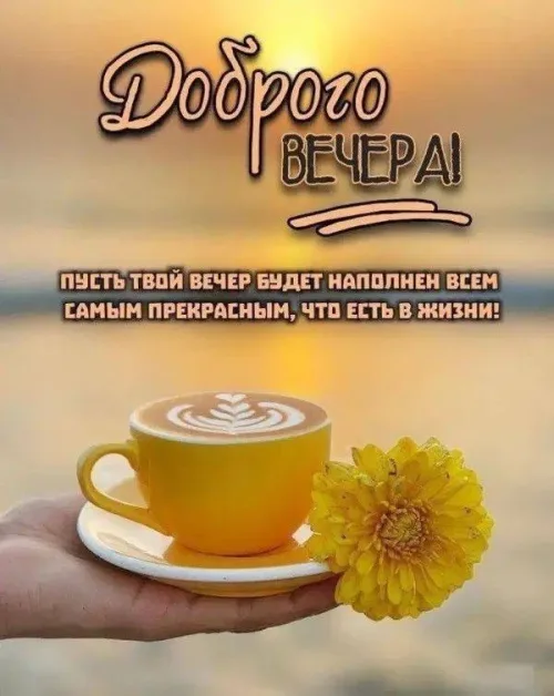 Доброго вечера! Чашка кофе и цветок