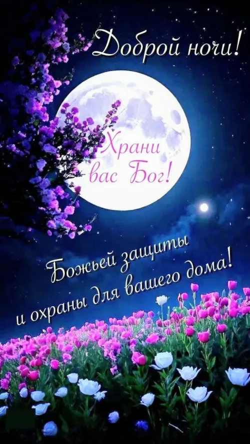 Доброй ночи! Цветы и луна