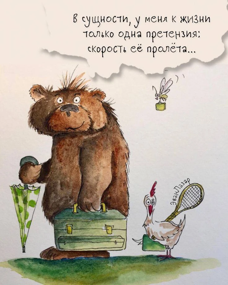 Прикольный медведь с птицей и теннисной ракеткой