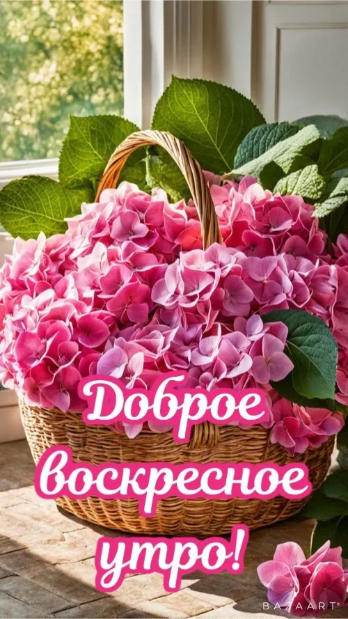 Весенний утренний букет гортензий