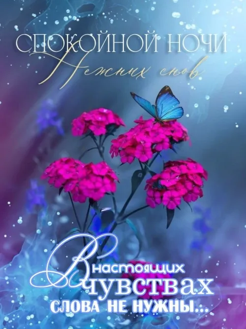 Спокойной ночи с бабочкой и цветами