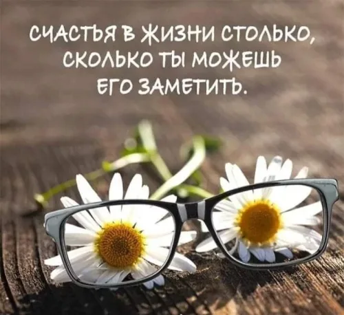 Счастье в жизни: очки и ромашки