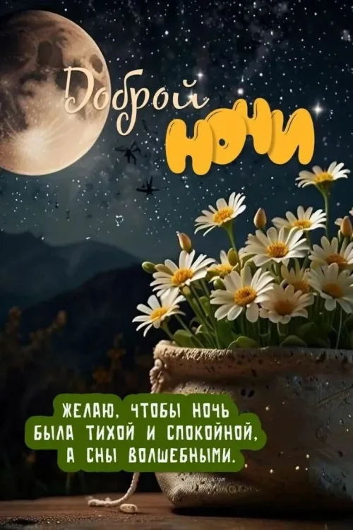 Спокойной ночи с цветами и луной