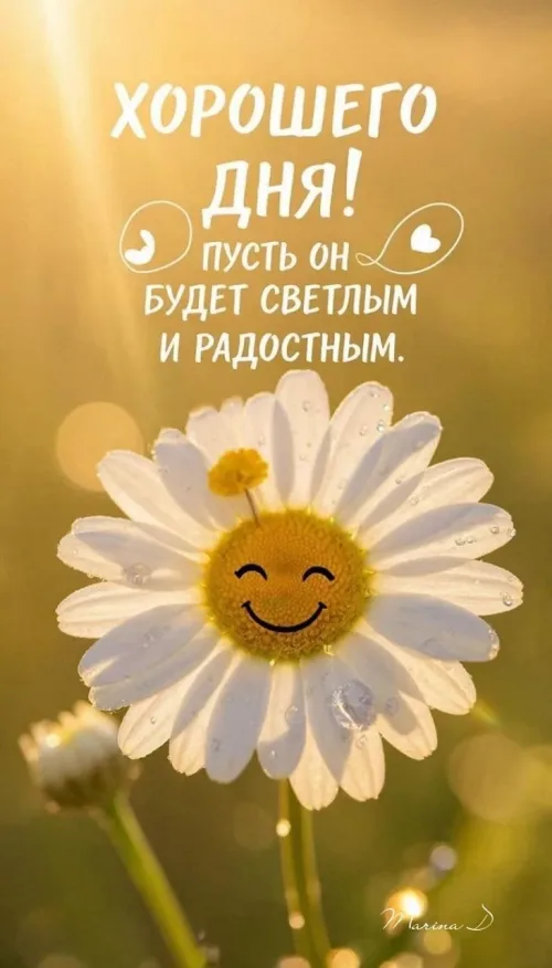 Хорошего дня весенний цветок