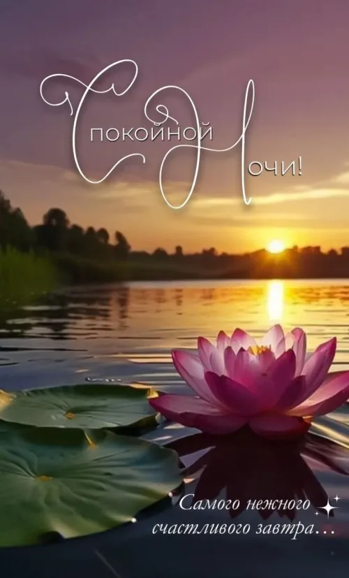 Спокойной ночи! Розовый лотос на закате