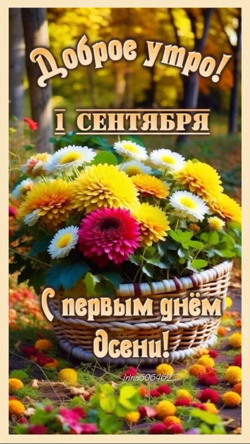 Открытка с Днем знаний и осенними цветами