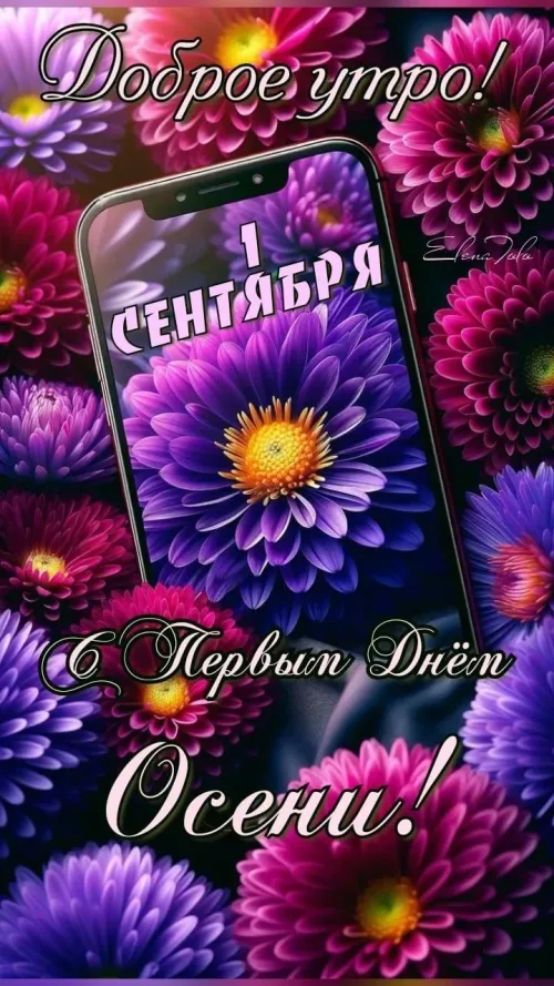 Открытка с добрым утром и первым днем осени
