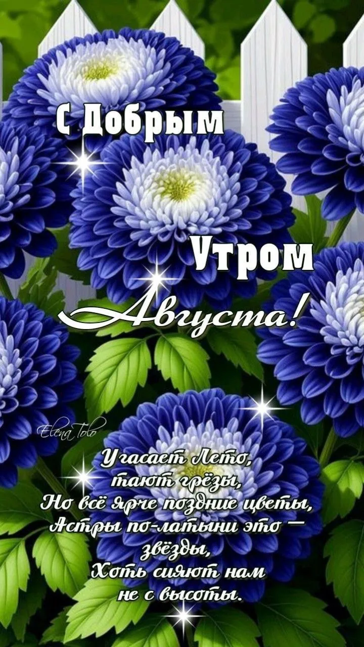 Позитивная открытка с добрым утром Августа с цветами