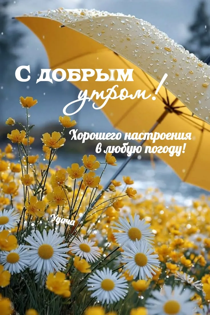 Позитивная открытка с добрым утром и цветами