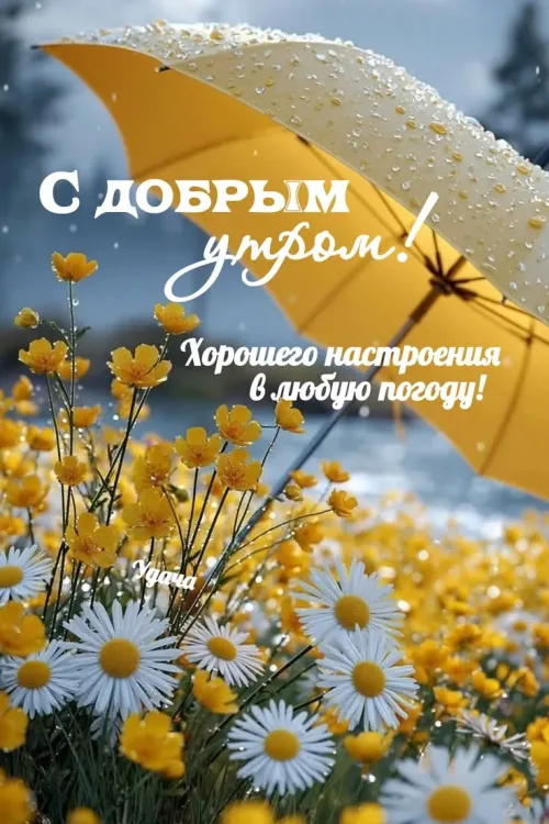 Позитивная открытка с добрым утром и цветами