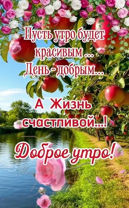 Прикольная открытка с добрым утром и яблоками