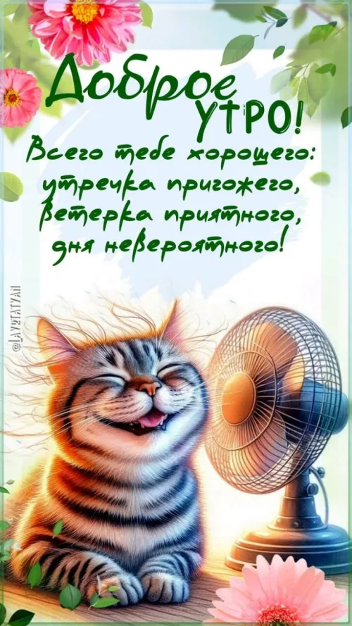 Позитивная открытка с добрым утром и котом